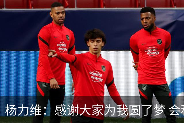 杨力维：感谢大家为我圆了梦 会积极面对伤病