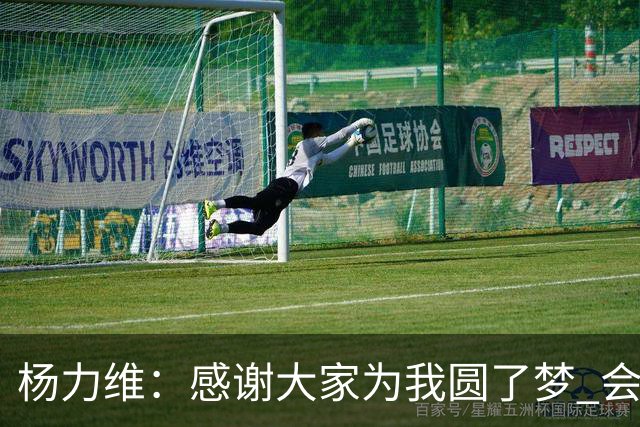 杨力维：感谢大家为我圆了梦 会积极面对伤病
